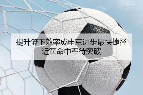 提升篮下效率成申京进步最快捷径 近筐命中率待突破